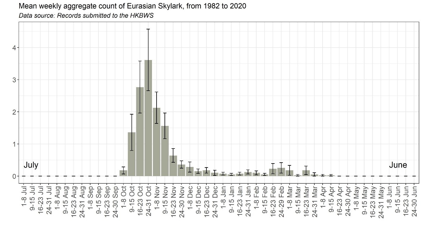 Figure 1. Image